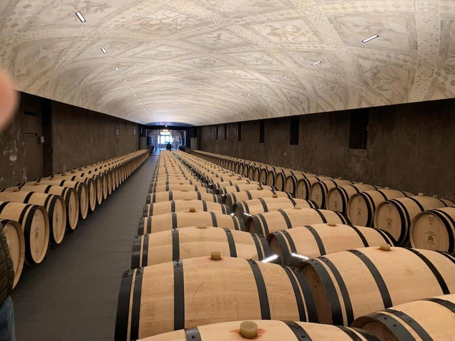 Studio Confortable Aux Portes De Bordeaux Et Medoc Ludon-Médoc Exteriör bild